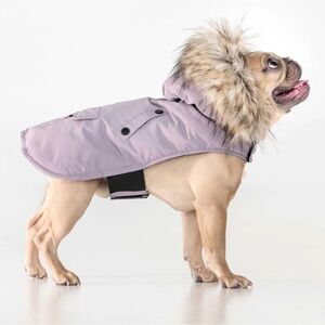 Noize Lavender Outerwear for dog small/medium